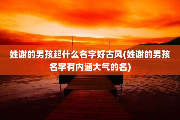 姓谢的男孩起什么名字好古风(姓谢的男孩名字有内涵大气的名)