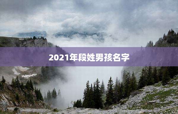 2021年段姓男孩名字