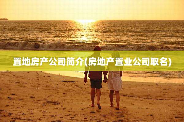 置地房产公司简介(房地产置业公司取名)