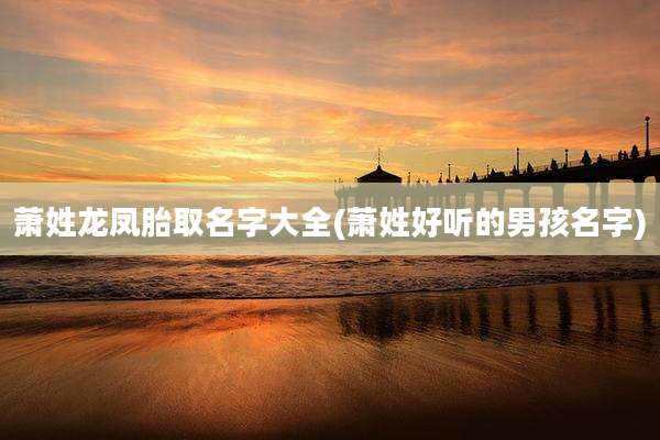 萧姓龙凤胎取名字大全(萧姓好听的男孩名字)