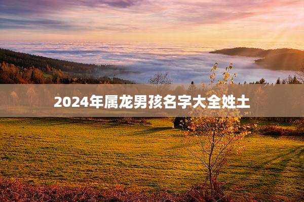 2024年属龙男孩名字大全姓土