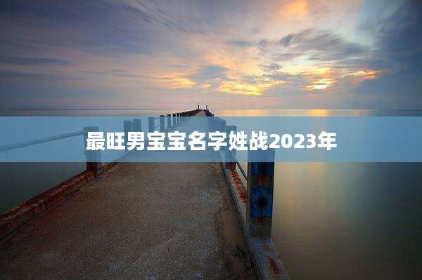 最旺男宝宝名字姓战2023年