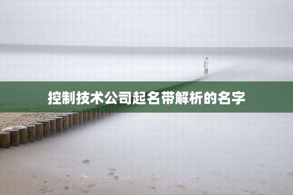控制技术公司起名带解析的名字