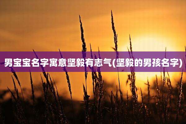 男宝宝名字寓意坚毅有志气(坚毅的男孩名字)