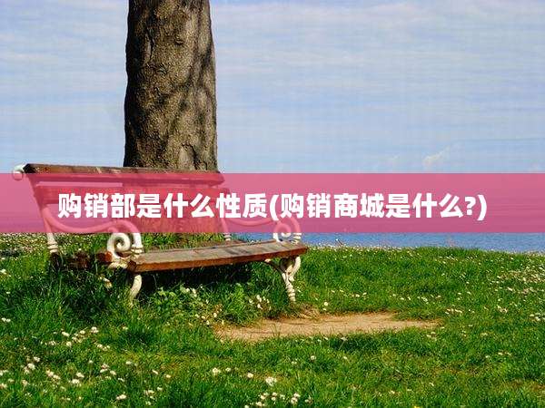 购销部是什么性质(购销商城是什么?)