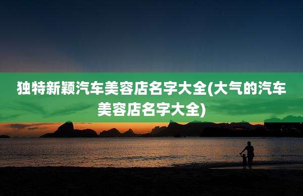 独特新颖汽车美容店名字大全(大气的汽车美容店名字大全)