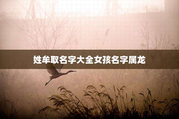 姓牟取名字大全女孩名字属龙