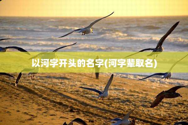 以河字开头的名字(河字辈取名)