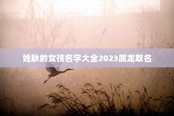 姓耿的女孩名字大全2023属龙取名