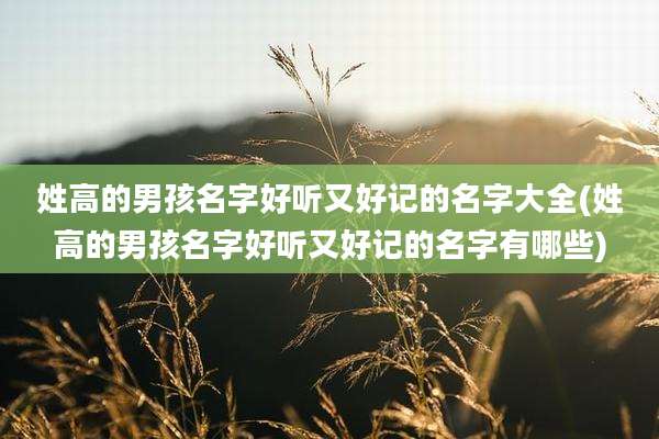 姓高的男孩名字好听又好记的名字大全(姓高的男孩名字好听又好记的名字有哪些)
