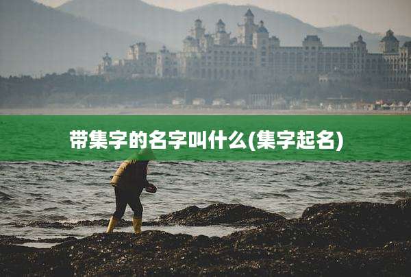 带集字的名字叫什么(集字起名)