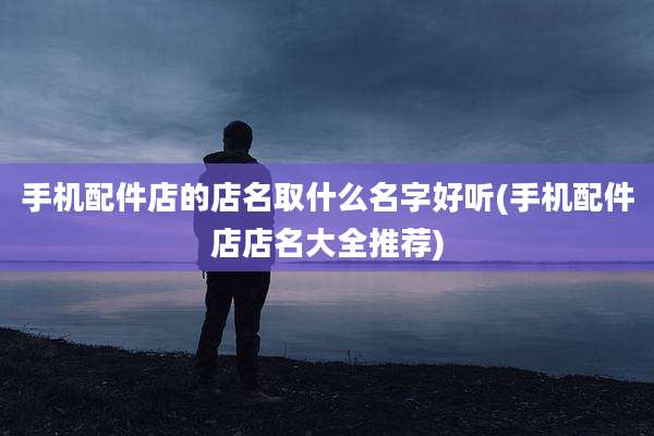 手机配件店的店名取什么名字好听(手机配件店店名大全推荐)