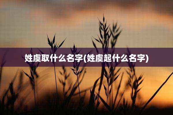 姓虞取什么名字(姓虞起什么名字)