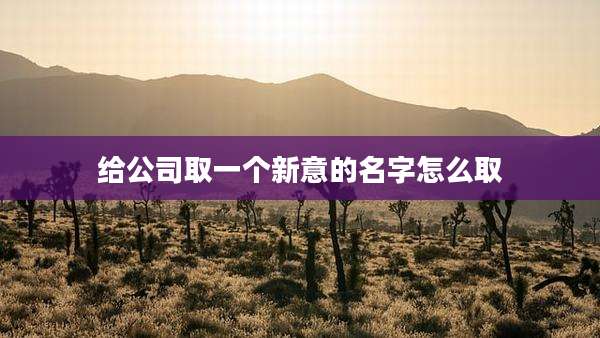 给公司取一个新意的名字怎么取