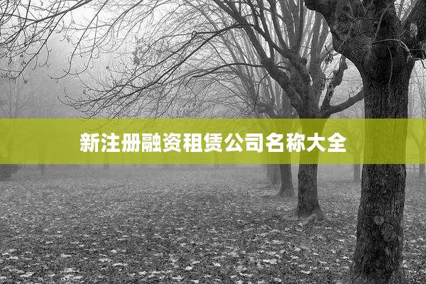 新注册融资租赁公司名称大全