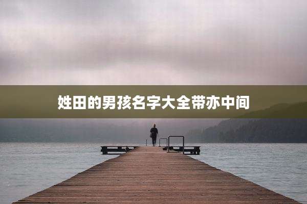 姓田的男孩名字大全带亦中间