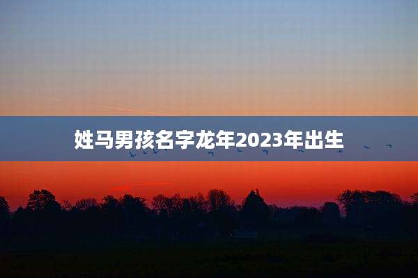 姓马男孩名字龙年2023年出生