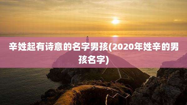 辛姓起有诗意的名字男孩(2020年姓辛的男孩名字)