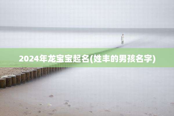 2024年龙宝宝起名(姓丰的男孩名字)