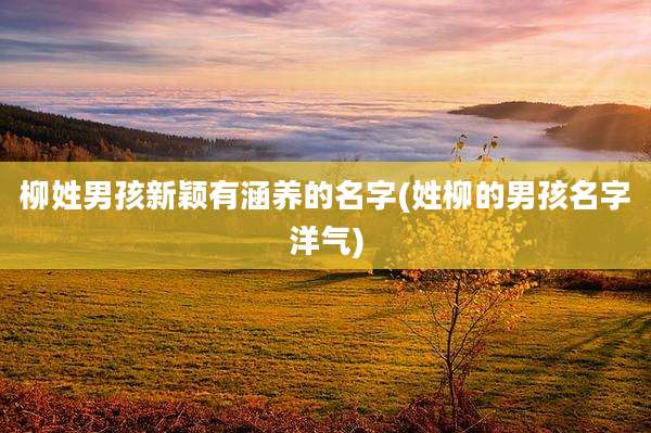 柳姓男孩新颖有涵养的名字(姓柳的男孩名字洋气)