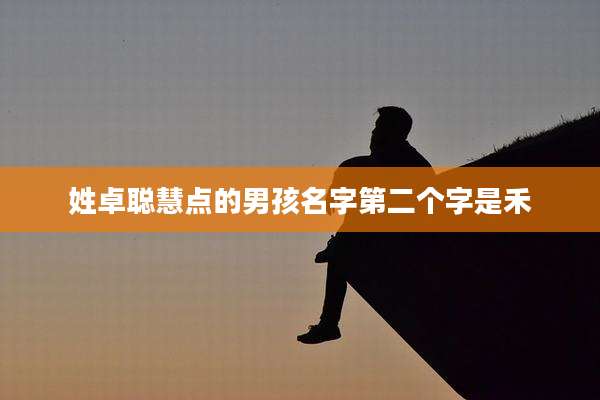 姓卓聪慧点的男孩名字第二个字是禾