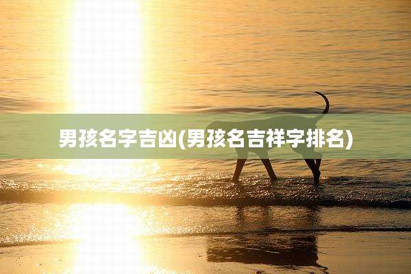 男孩名字吉凶(男孩名吉祥字排名)