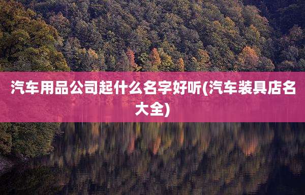 汽车用品公司起什么名字好听(汽车装具店名大全)