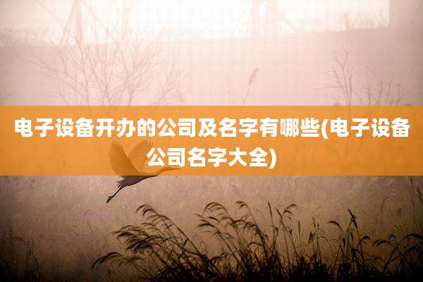 电子设备开办的公司及名字有哪些(电子设备公司名字大全)