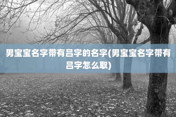 男宝宝名字带有吕字的名字(男宝宝名字带有吕字怎么取)