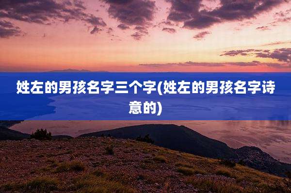 姓左的男孩名字三个字(姓左的男孩名字诗意的)