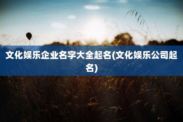 文化娱乐企业名字大全起名(文化娱乐公司起名)