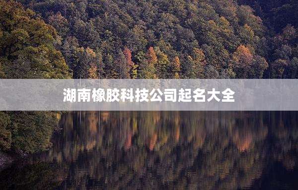 湖南橡胶科技公司起名大全