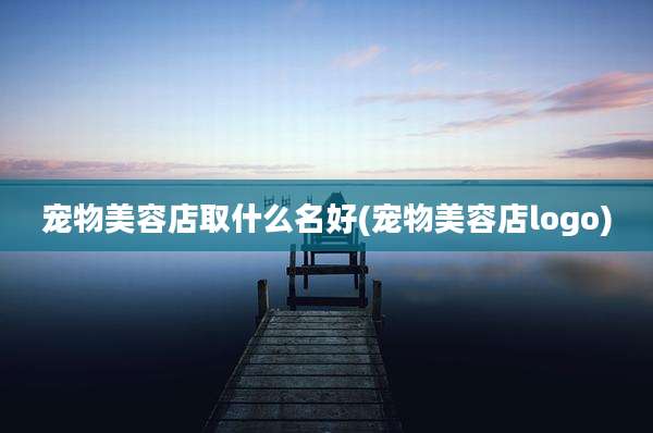 宠物美容店取什么名好(宠物美容店logo)