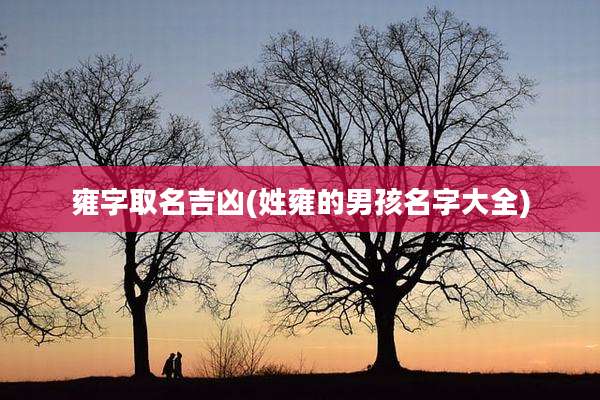 雍字取名吉凶(姓雍的男孩名字大全)