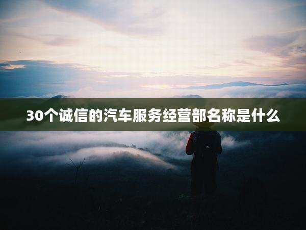 30个诚信的汽车服务经营部名称是什么