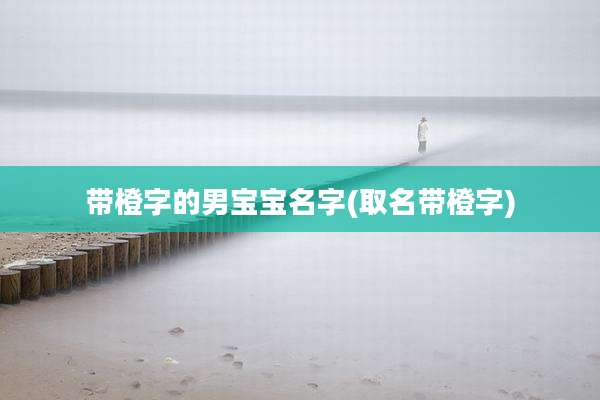 带橙字的男宝宝名字(取名带橙字)