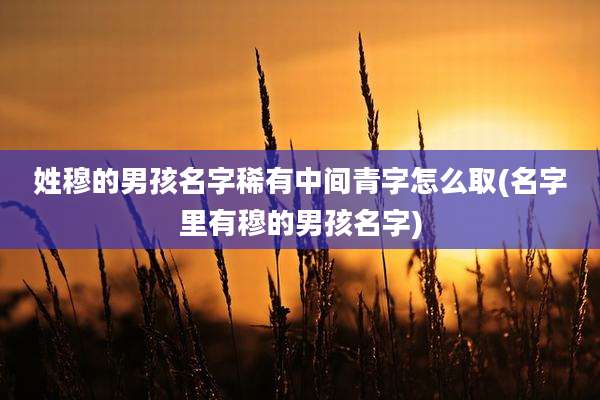 姓穆的男孩名字稀有中间青字怎么取(名字里有穆的男孩名字)