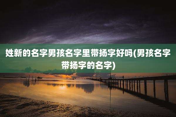 姓新的名字男孩名字里带扬字好吗(男孩名字带扬字的名字)