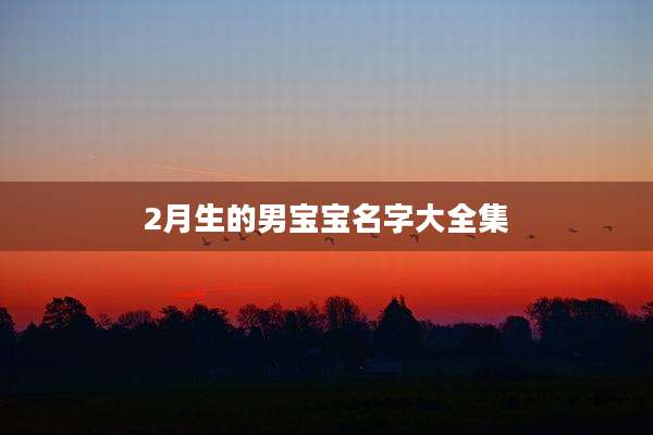 2月生的男宝宝名字大全集