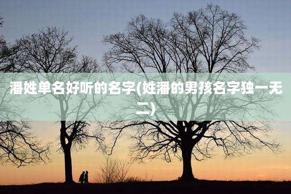 潘姓单名好听的名字(姓潘的男孩名字独一无二)