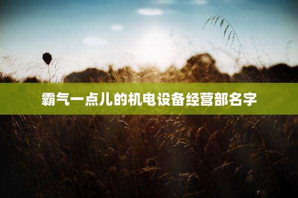 霸气一点儿的机电设备经营部名字