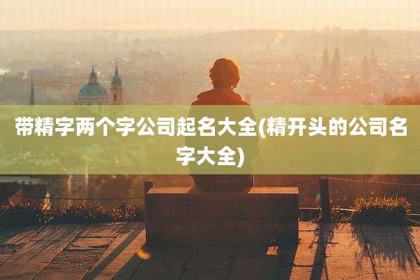 带精字两个字公司起名大全(精开头的公司名字大全)