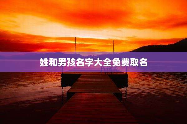 姓和男孩名字大全免费取名