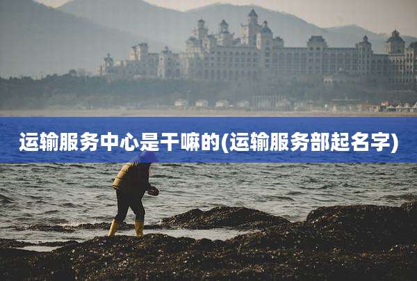 运输服务中心是干嘛的(运输服务部起名字)