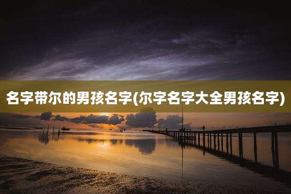 名字带尔的男孩名字(尔字名字大全男孩名字)