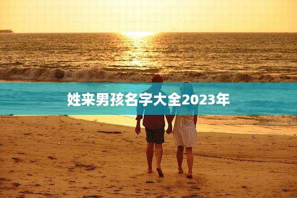 姓来男孩名字大全2023年