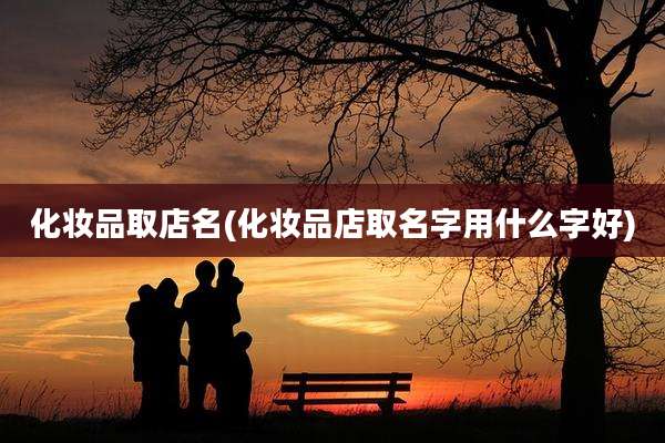 化妆品取店名(化妆品店取名字用什么字好)