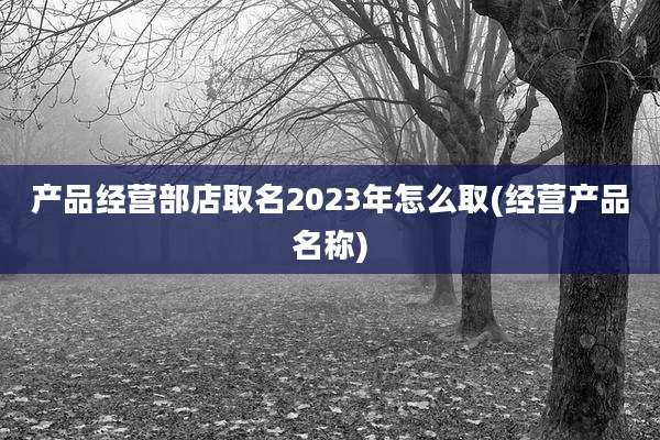 产品经营部店取名2023年怎么取(经营产品名称)