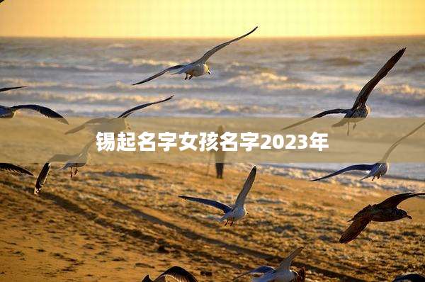 锡起名字女孩名字2023年