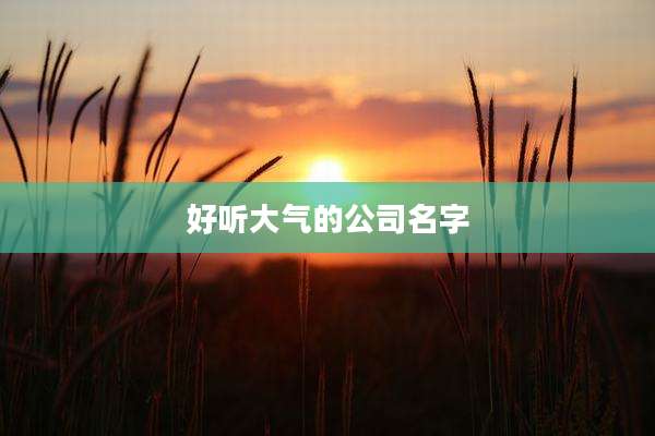 好听大气的公司名字